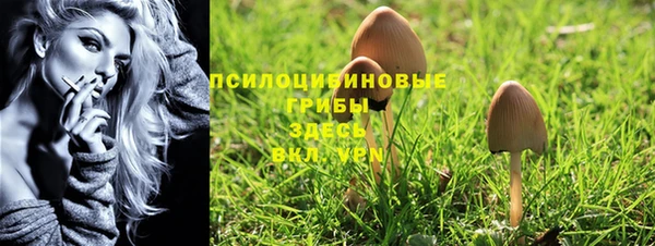 jwh Богородск