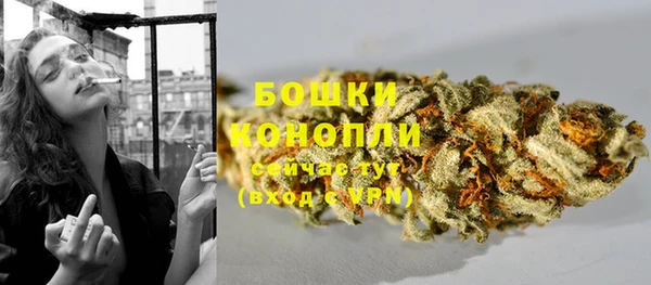 экстази Богданович